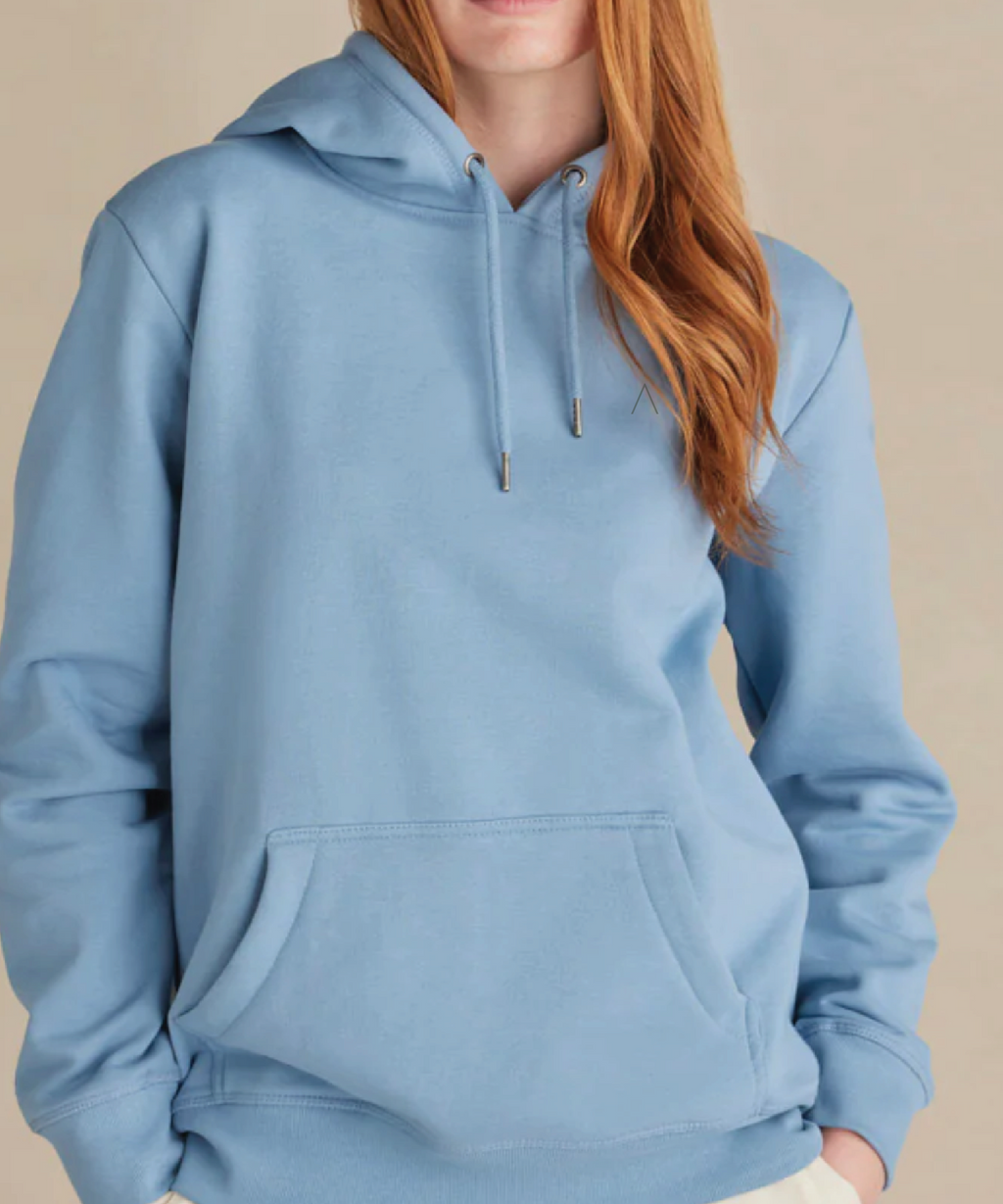 TrailBlazer (Cloud Blue ) Heavyweight Organic Brushed Hood